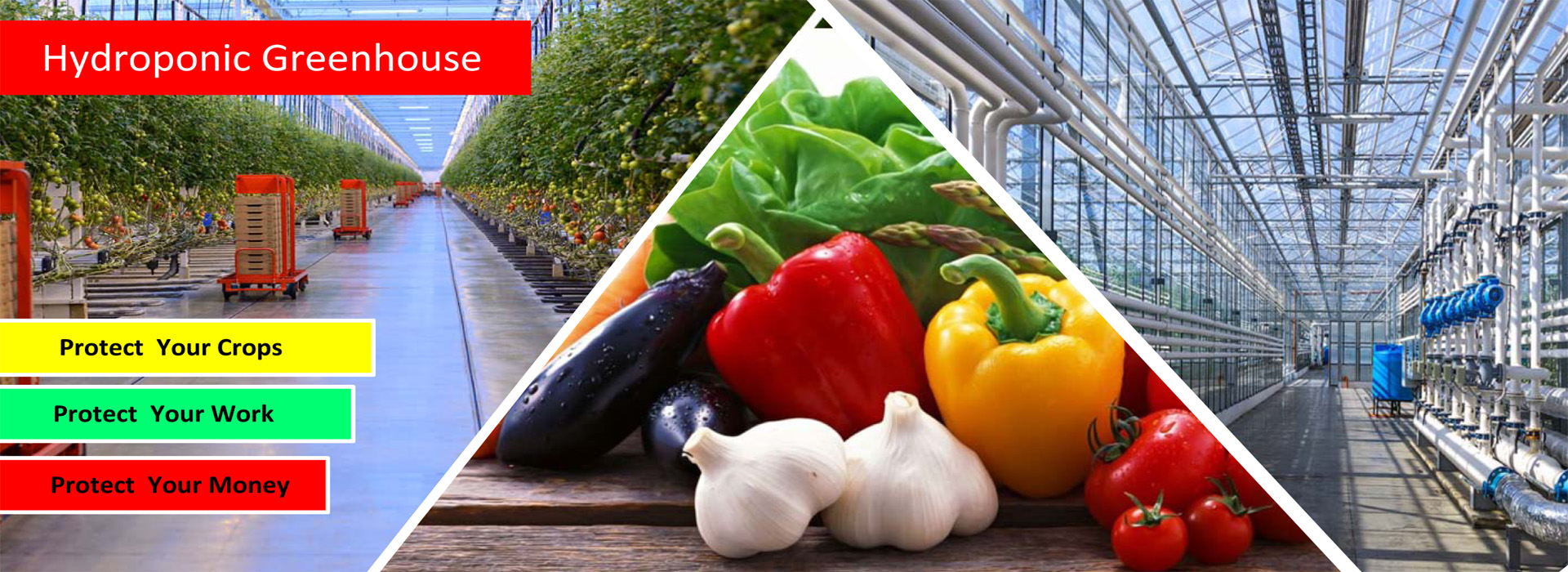 SLIDE 20 HYDROPONIC GREENHOUSE-PROTECT YOUR CROPS